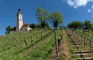 Birnau and Vineyard, kloster, bodesee, constance, germany, blue sky, church, abbey, birnau, baden-württemberg, bodensee, outdoors, baroque, christianity, summer, catholic, ornate, exterior, lake, uhldingen, scenic, sunshine, religion, pink