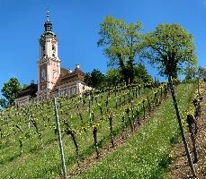 Kloster Birnau, kloster, bodesee, constance, germany, blue sky, baroque, abbey, birnau, baden-württemberg, bodensee, outdoors, church, christianity, summer, catholic, ornate, exterior, lake, uhldingen, scenic, sunshine, religion, pink