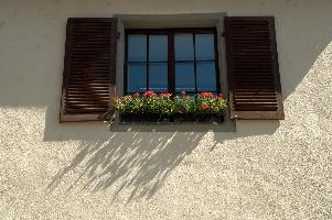 Geraniums in Uberlingen, ueberlingen, bodensee, deutschland