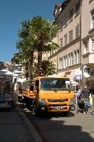 dsc_211679.jpg