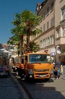 dsc_211680.jpg