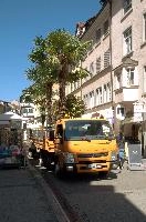 dsc_211681.jpg