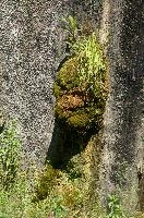 dsc_213827.jpg