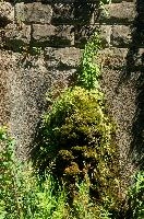 dsc_213830.jpg