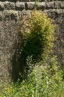dsc_213899.jpg
