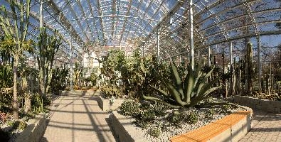 Cactus House in Ueberlingen, überlingen, house, spiny, plant, germany, europe, cactus, greenhouse
